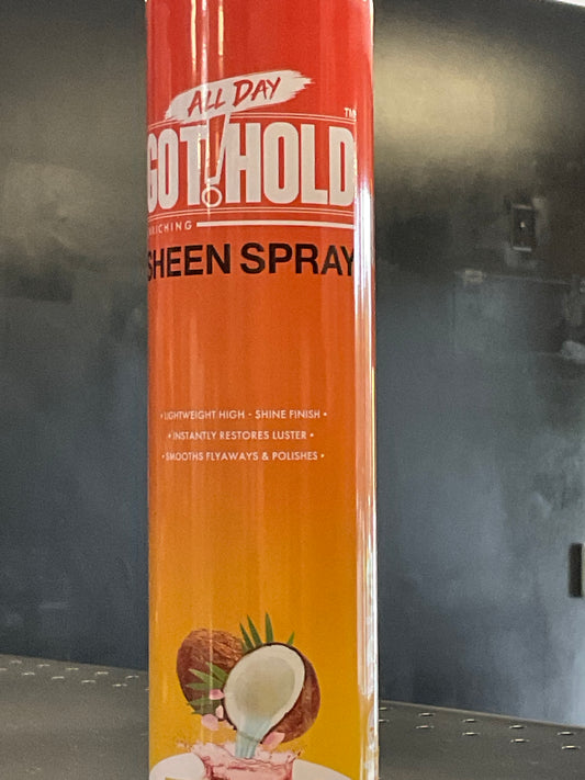 All Day Got Hold Sheen Spray